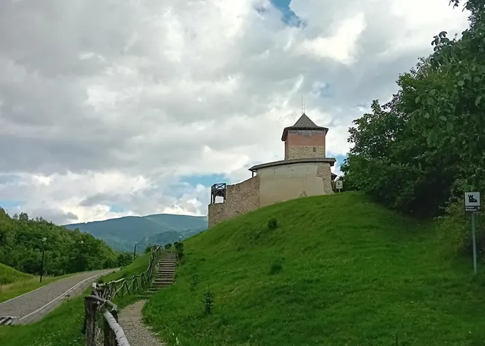 Cazare La Oana