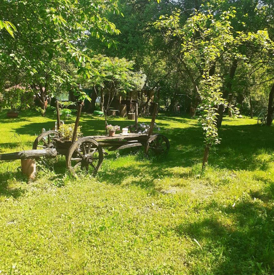 Lodge La Oana