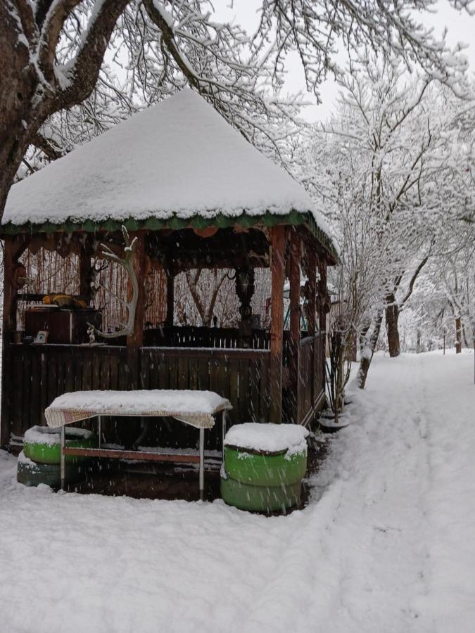 Lodge La Oana Hateg