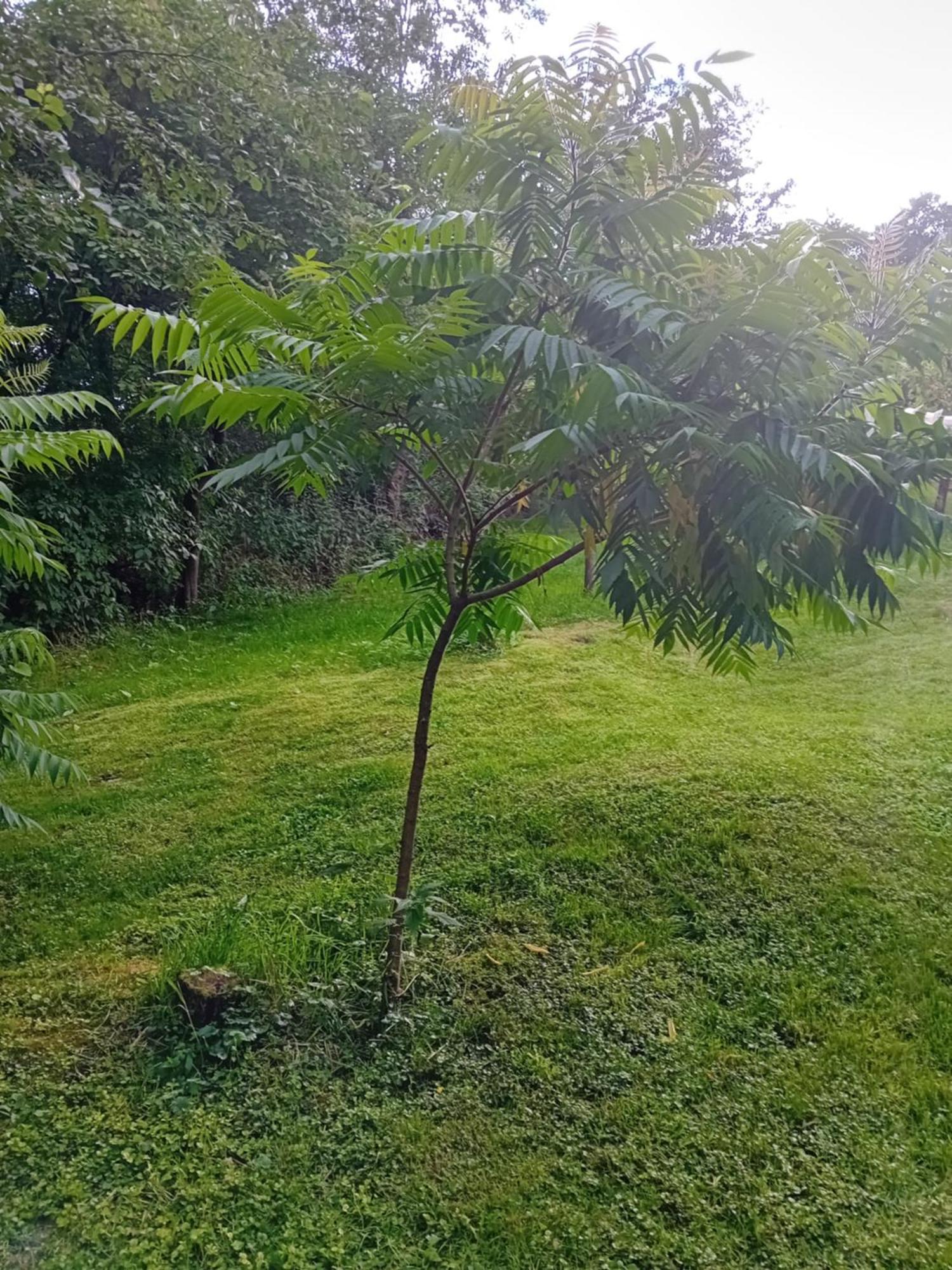La Oana Lodge *
